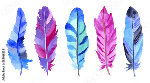 Watercolor purple, blue, green feathers set  isolated on white background. Hand painted illustration. © Iryna