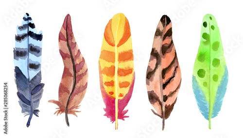 Watercolor brown, yellow, blue, green feathers set  isolated on white background. Hand painted illustration. © Iryna