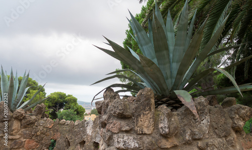Park Guell with interesting architectural and natural compositions. © oksanahappy