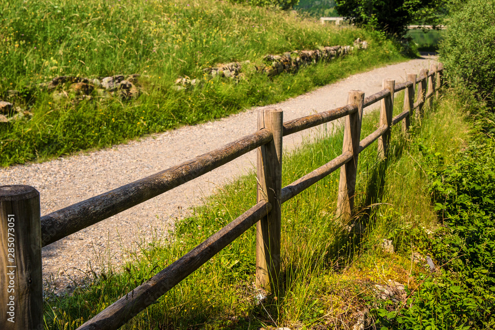 Dirt road in the mountain forest