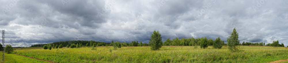 field of green grass and blue sky. Panorama. field of green grass and blue sky. Panorama.