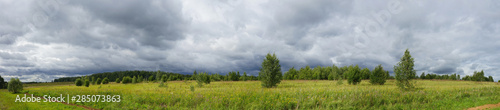 field of green grass and blue sky. Panorama. 