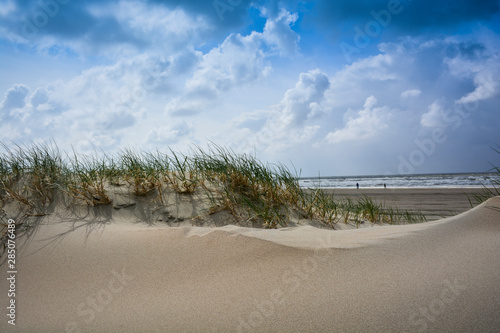 Sand dunes on northern sea in netherlands