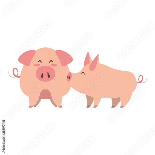 cute animals pigs farm cartoon