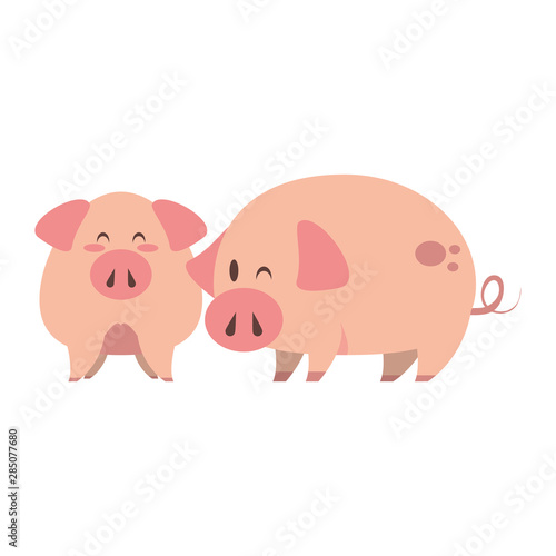 cute animals pigs farm cartoon