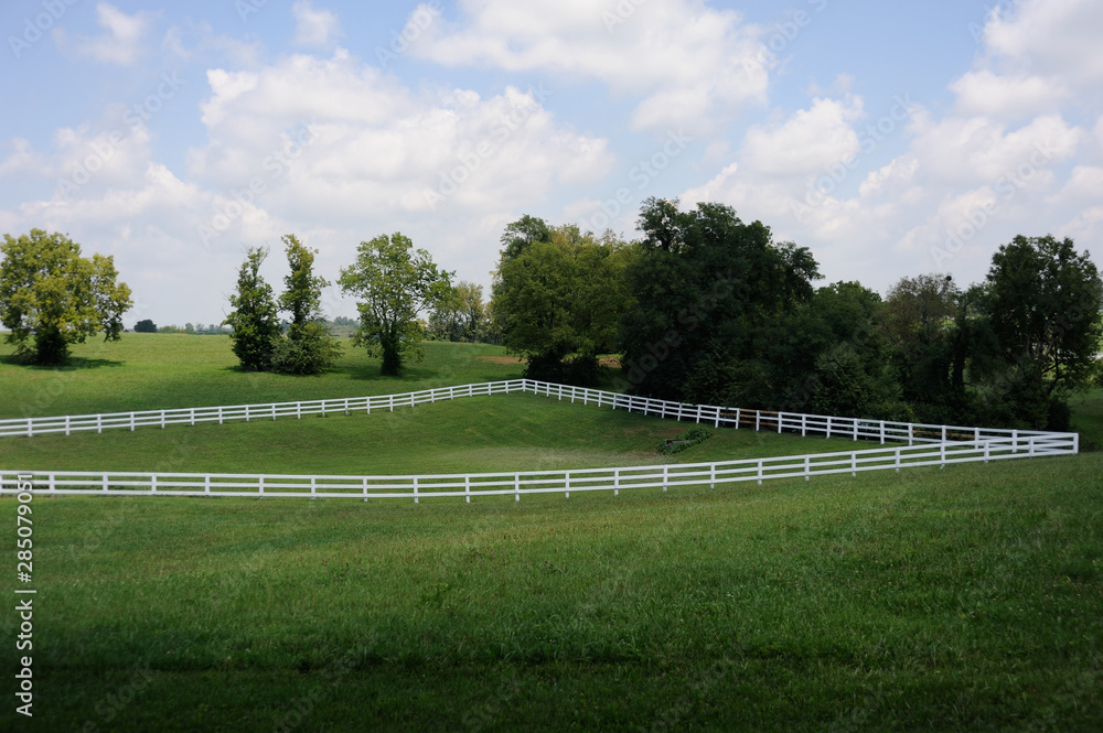 Obraz premium Horse Farm in Kentucky