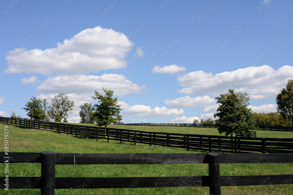 Landscape in rural setting