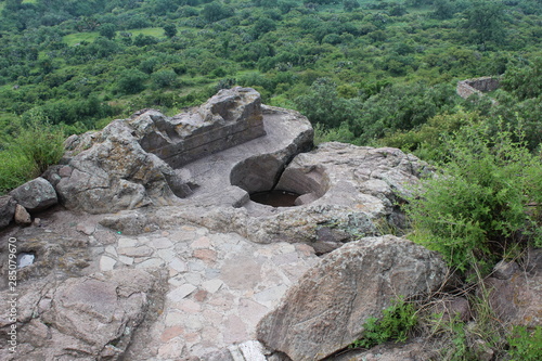 the botanical gardens of nezahualcoyotl