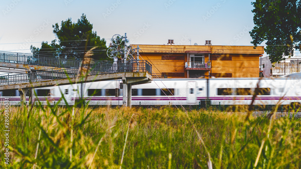 field landscape of spikes with train in the background passing at high speed very close to the houses