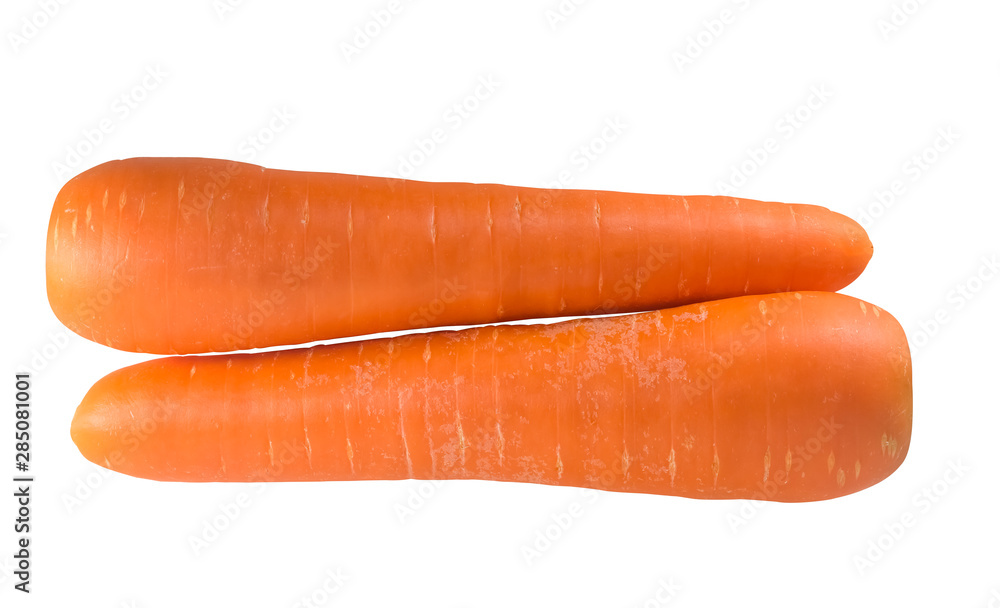 Two fresh orange carrots isolated on white background in strange appearance Two fresh orange carrots isolated on white background in strange appearance