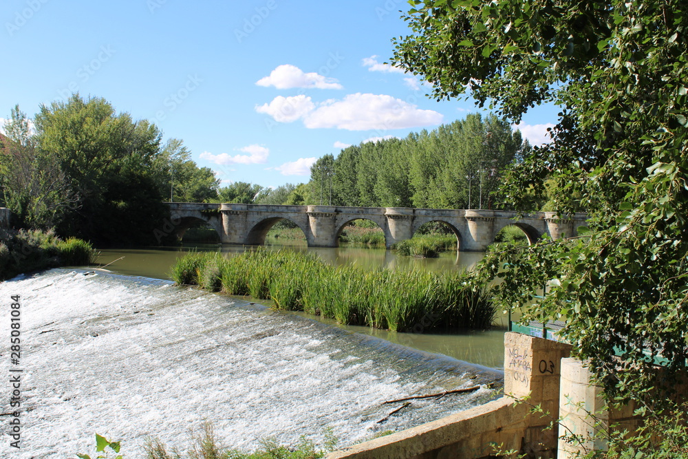 Fototapeta premium rivera del Río Carrión a su paso por Palencia
