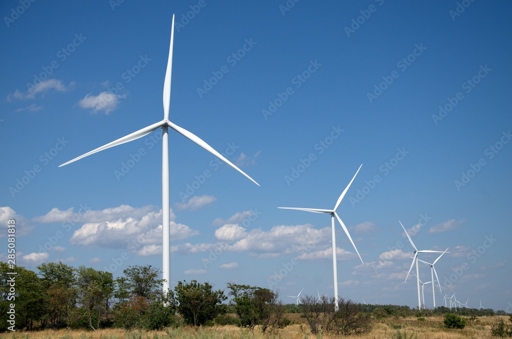 Wind farms located along fields to the horizon Wind farms located along fields to the horizon