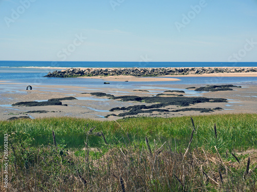 view of the beach