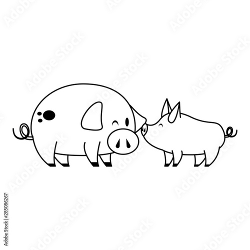 cute animals pigs farm cartoon in black and white