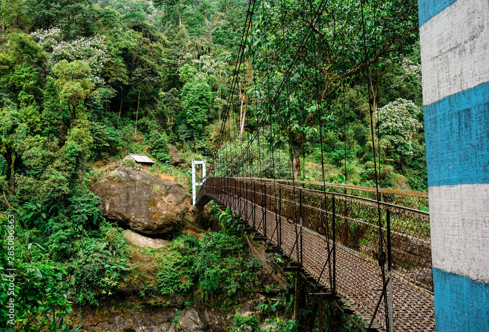 old wooden bridge in the forest of cherapunjee meghalaya India old wooden bridge in the forest of cherapunjee meghalaya India