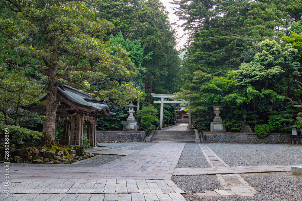 新潟 弥彦神社 境内風景