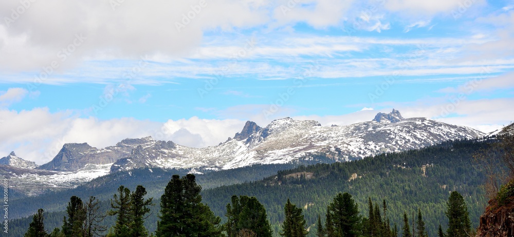 Landscape Nature Panorama View of Mountains Trees Fir Pine In the foreground, the Journey, the Snow capped mountains Mountain range Mountain range Winter Snow in the mountains Ergaki