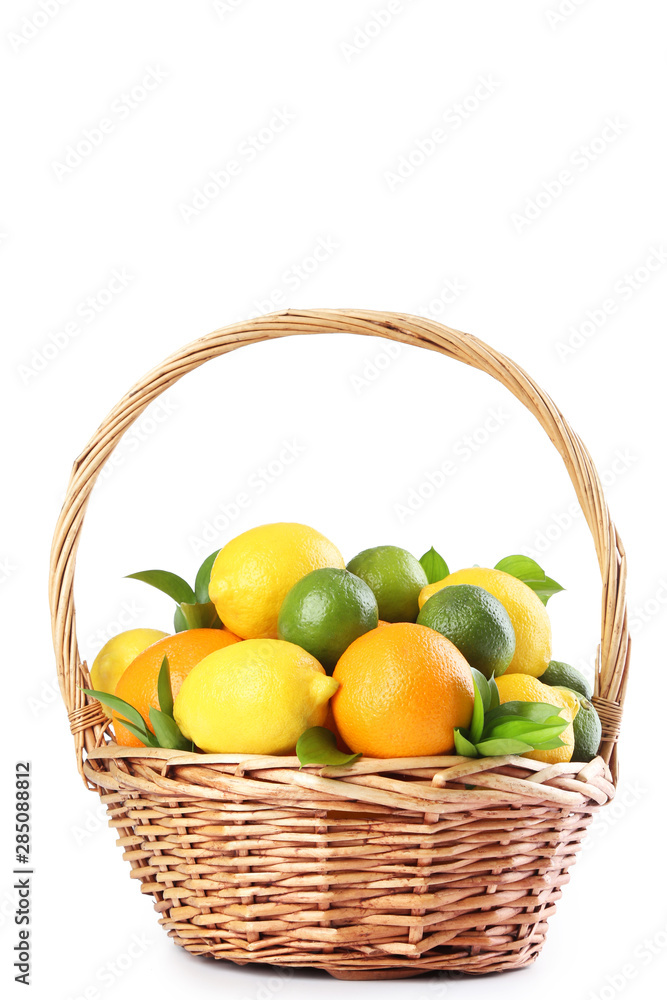 Citrus fruits in basket isolated on white background Citrus fruits in basket isolated on white background