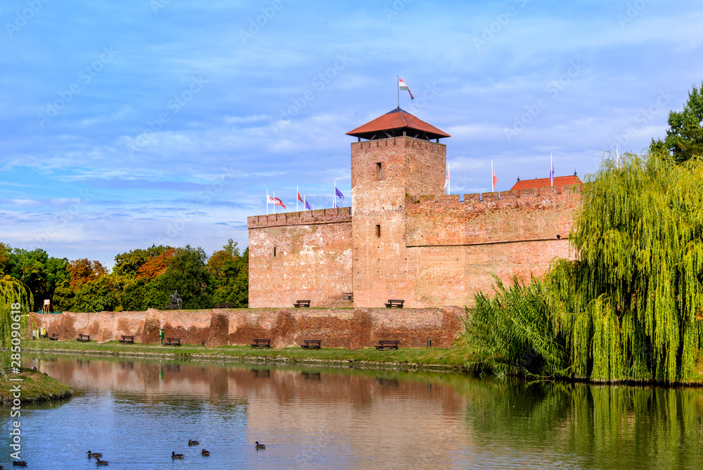The only remaining brick-built medieval fortress. In front of the castle is a boating lake and a huge willow tree in summer. Hungary, Gyula