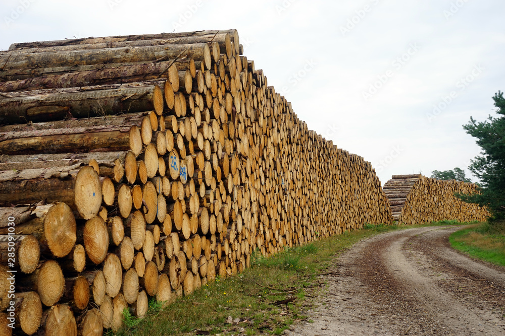 Heap of logs