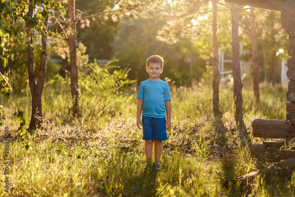 five-year-old Caucasian boy in blue t-shirt and shorts stands in the Park in the back sunlight in summer five-year-old Caucasian boy in blue t-shirt and shorts stands in the Park in the back sunlight in summer