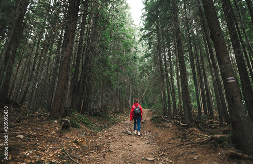 Back of hiker girl in casual clothes climbs mountains in forest paths. Hiker girl in a red raincoat walks up the mountain trail in the forest. Active holidays in the mountains. Background