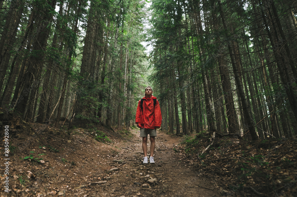 Hiker man in a red raincoat stands on a trail in the mountains,looks in camera, guy on a mountain hike. Full length photo of tourist in red jacket standing in background of big old coniferous trees Hiker man in a red raincoat stands on a trail in the mountains,looks in camera, guy on a mountain hike. Full length photo of tourist in red jacket standing in background of big old coniferous trees