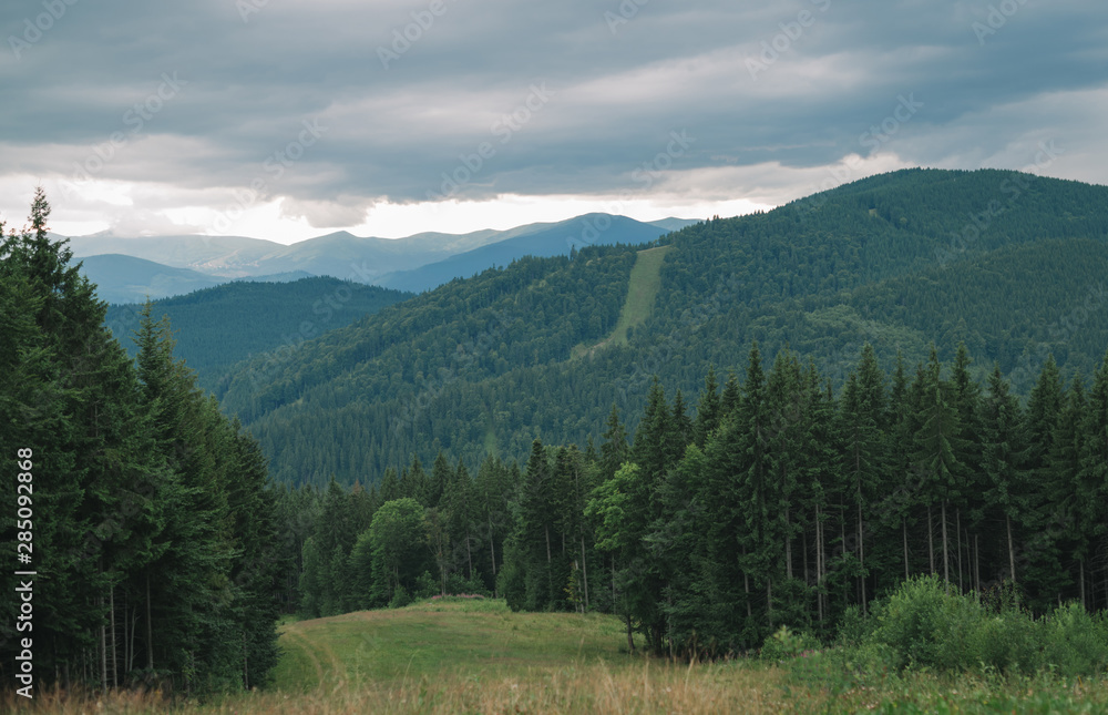 Beautiful landscape of mountains and coniferous forest in cloudy weather, mountain trail. Carpathians, Ukraine. Background
