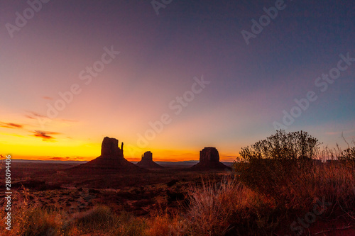 Monument Valley silhouette and some plants in the beautiful August sunrise  Utah