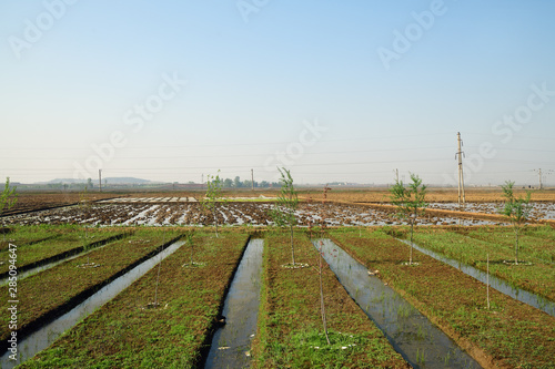 North Korea countryside landscape