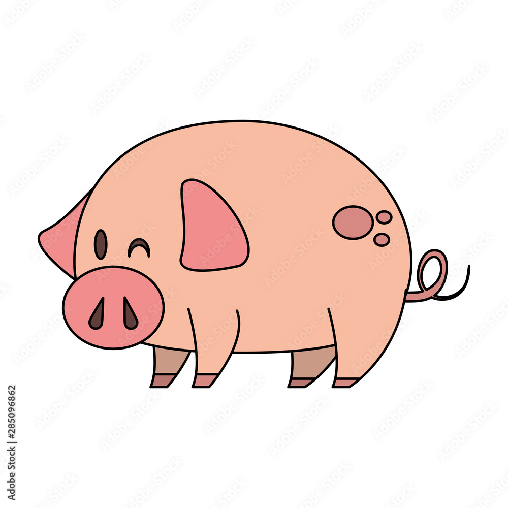 Fototapeta premium cute animal pig farm cartoon