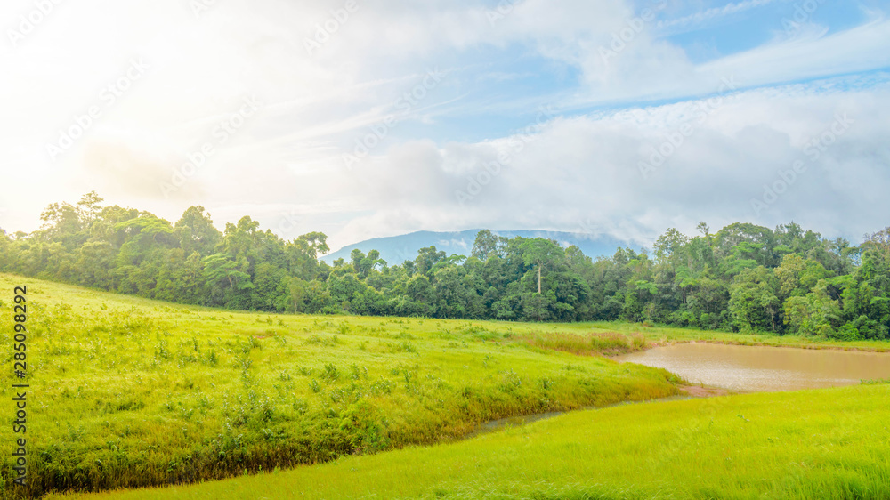 Fototapeta premium Green grass fields, sunshine and mountains of forests in Asia