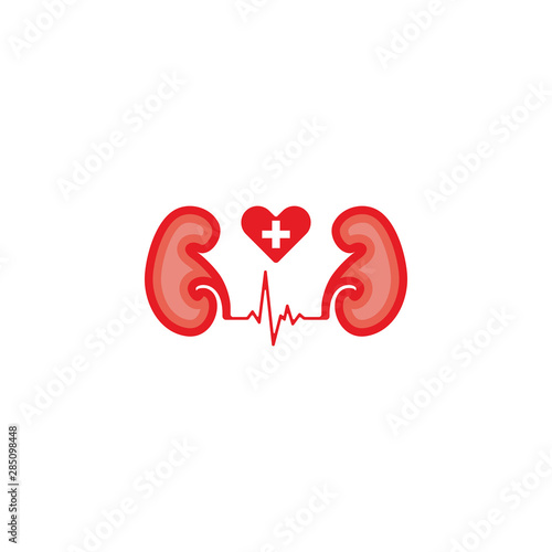 The Symbol Kidney Love Design Vectors Template