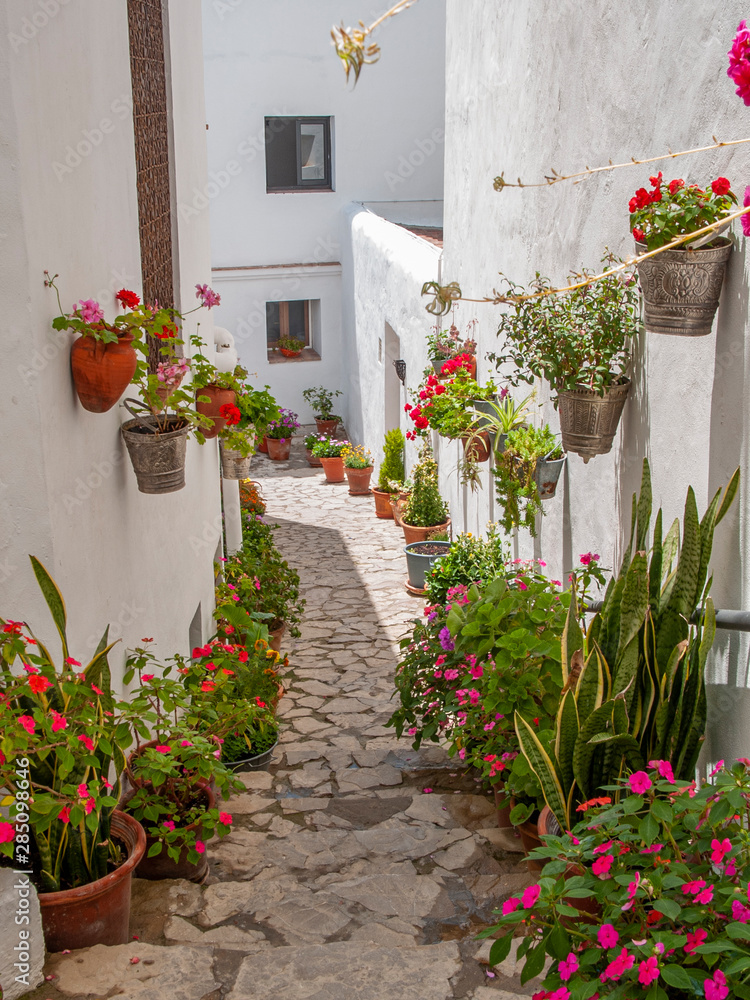 street front of white washed houses with multicolored flowerpots in a pueblo blanco  in Andalusia