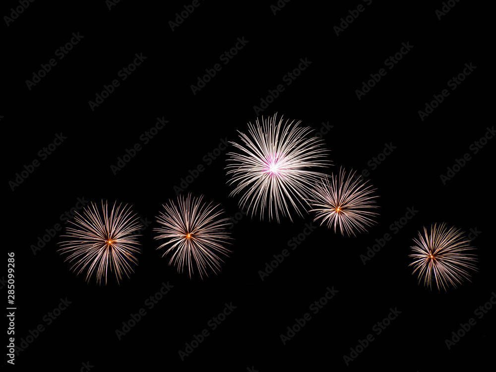 firework in dark sky