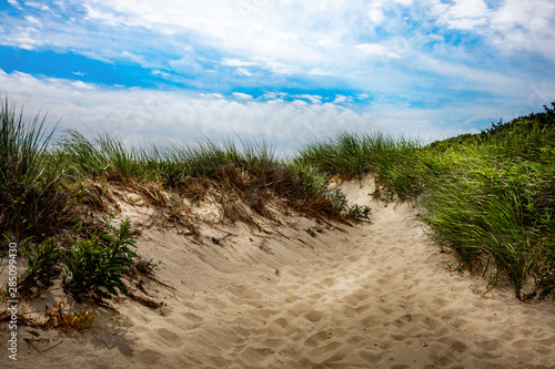 Canvas Print Dunes at Dennis
