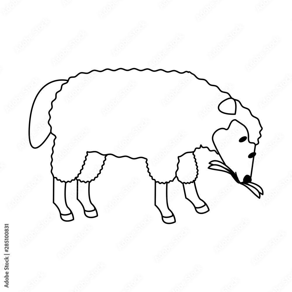 Obraz premium farm cute mammal animal cartoon in black and white
