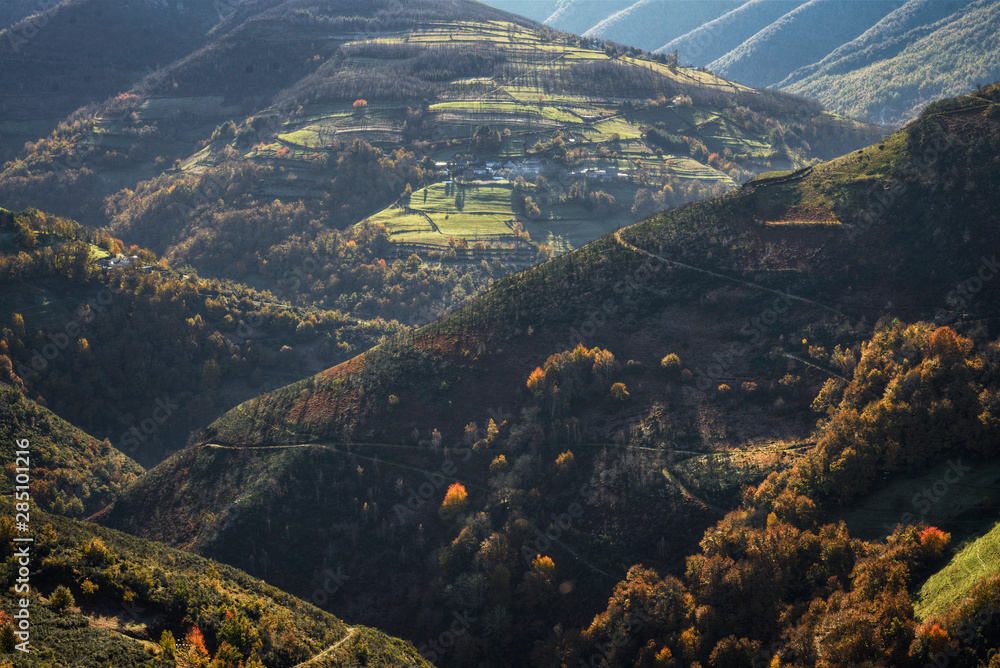 Autumnal Landscape of Hills covered with Deciduous Forests