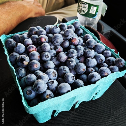 blueberries in box
