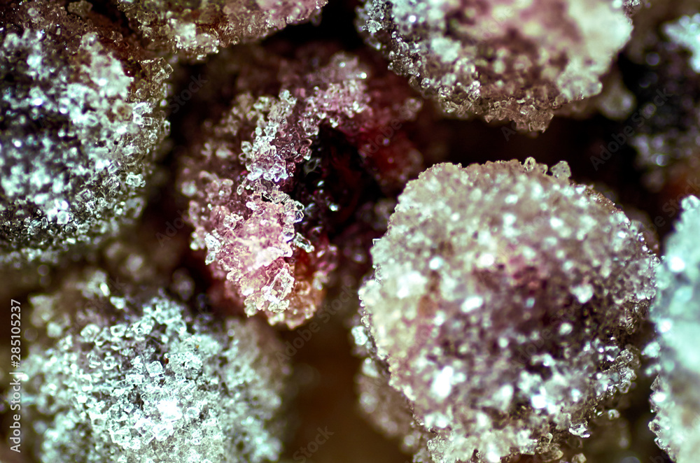 Fototapeta premium Candied berries