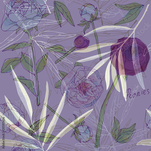 Leaves, stems and inflorescences of peonies vector illustration. Picture with pink, purple and white flowers.