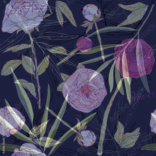 Leaves, stems and inflorescences of peonies vector illustration. Picture with pink, purple and white flowers.