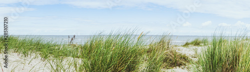 Dünen Panorama Ostsee