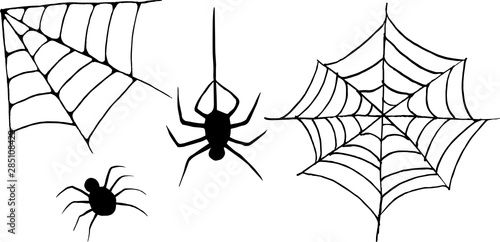 A set of isolated halloween items. Vector spiders and cobwebs