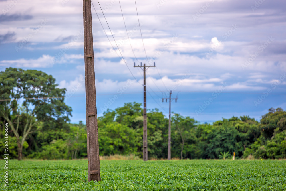 Obraz premium An electrical line crossing a soybean farm in Brazil