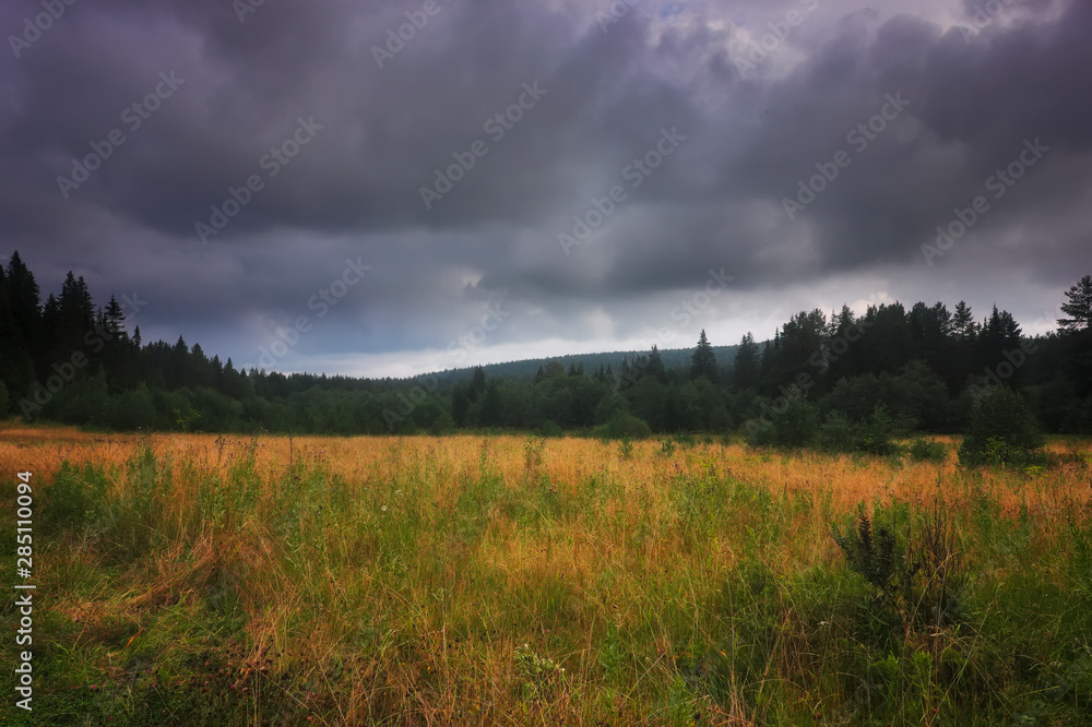 Sunset at the forest edge. Autumn landscape. Sunset at the forest edge. Autumn landscape.