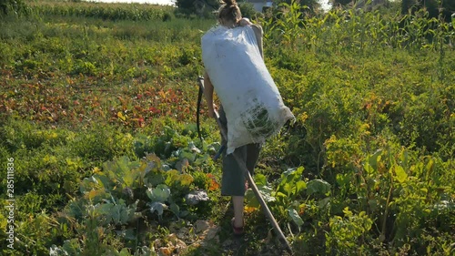 The girl is carrying a bag of grass and a scythe around the garden. Beautiful landscape. Work in the field. Real rural woman. photo