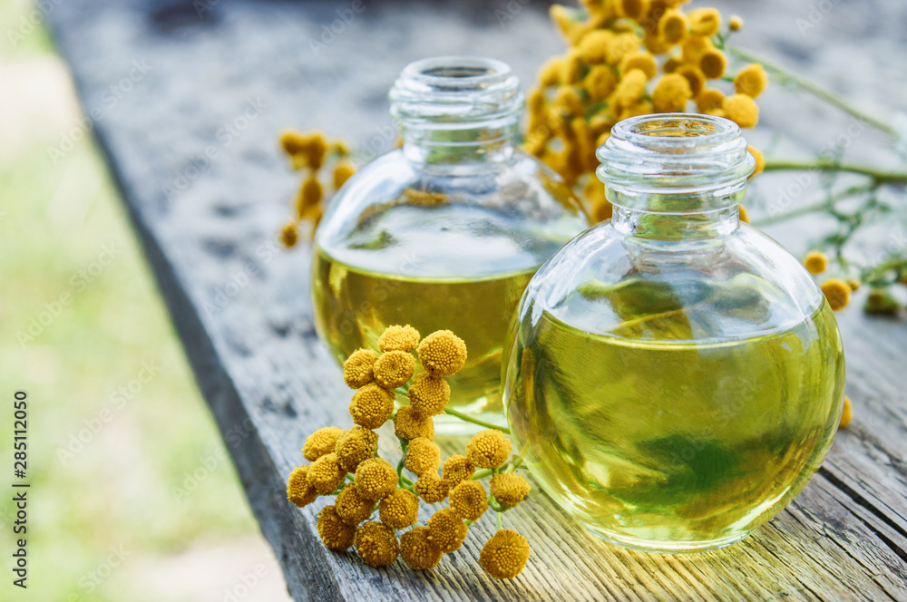 Tansy essential oil in a glass bottle on a wooden background near yellow tansy flowers. Tincture extract with medicinal tansy. Herbal medicine concept. Tansy essential oil in a glass bottle on a wooden background near yellow tansy flowers. Tincture extract with medicinal tansy. Herbal medicine concept.
