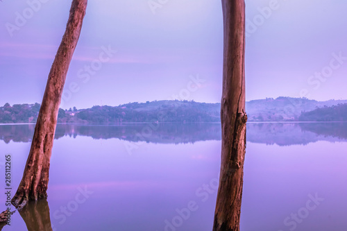 View of a wooden boats and big dry tree growing on Lake Nyabikere, with and the reflections on the water at sunrise, Rweteera, Fort Portal, Uganda, Africa photo