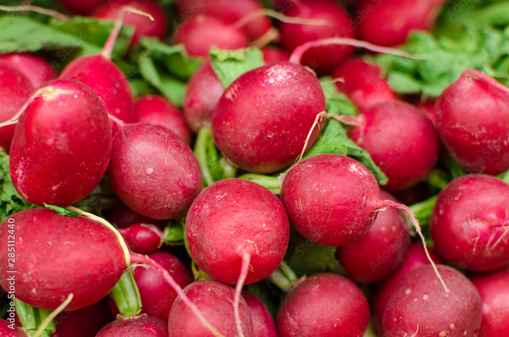 Close up detail of beautiful ripe red radishes Close up detail of beautiful ripe red radishes